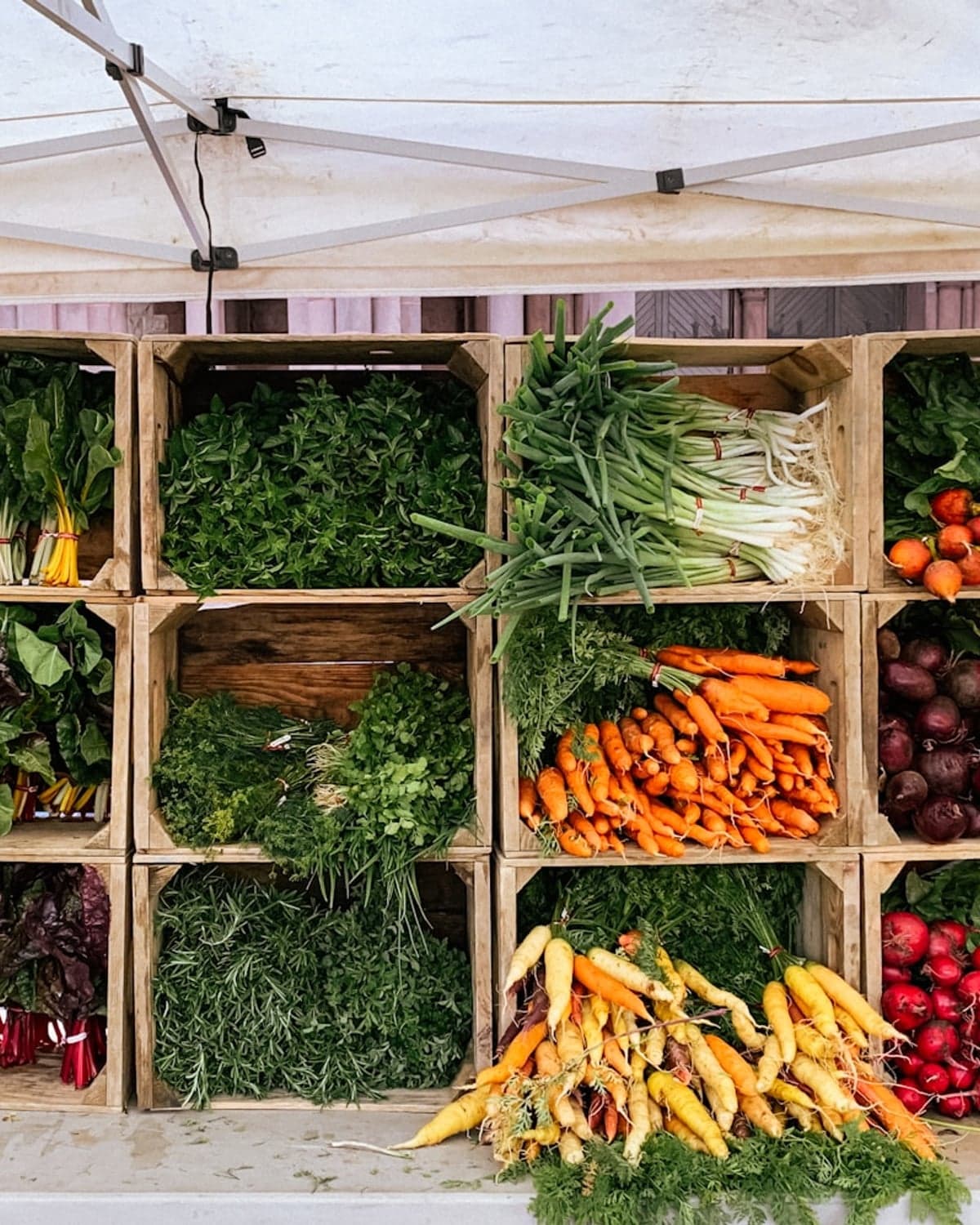 Functional Nutrition